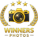 winerslogo
